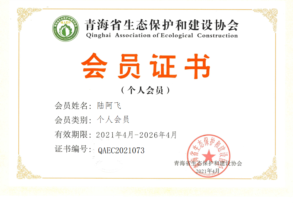 陆阿飞.png
